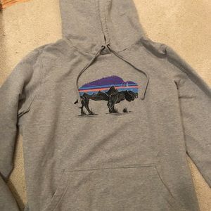 COPY - Patagonia hoodie has